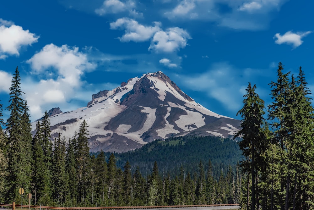 a snow covered mountain towering over a forest