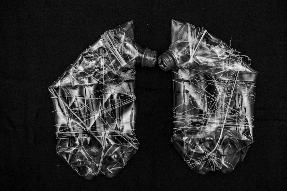 a black and white photo of a pair of lungs