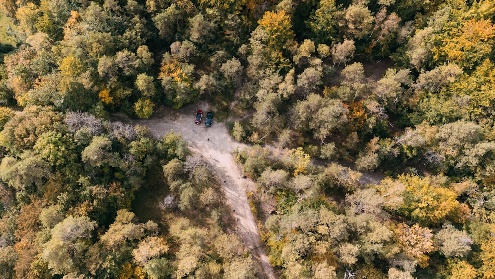 an aerial view of a dirt road surrounded by trees