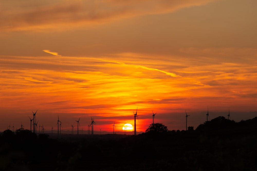 the sun is setting over a field of windmills