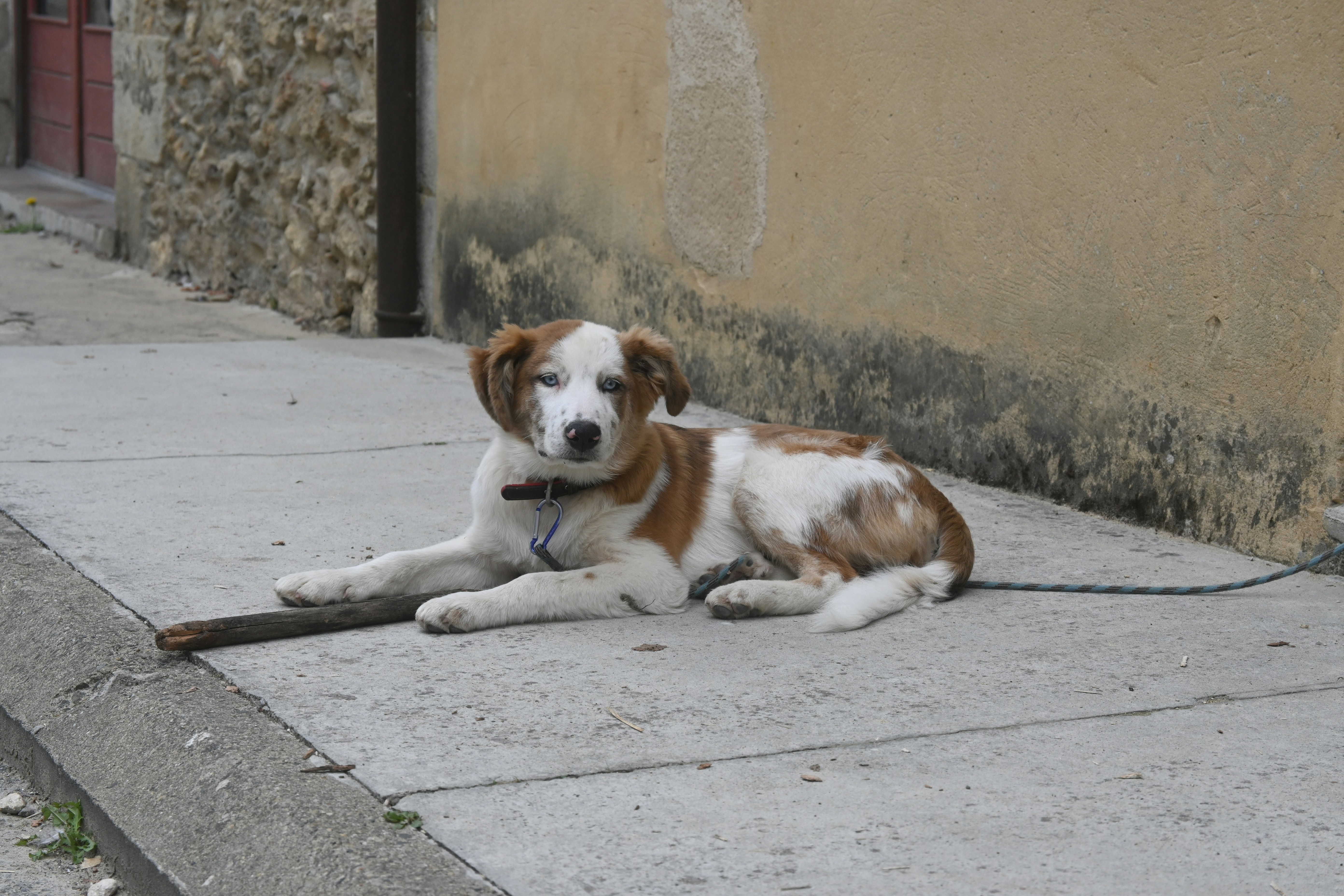 Photo by emelyhofstadt