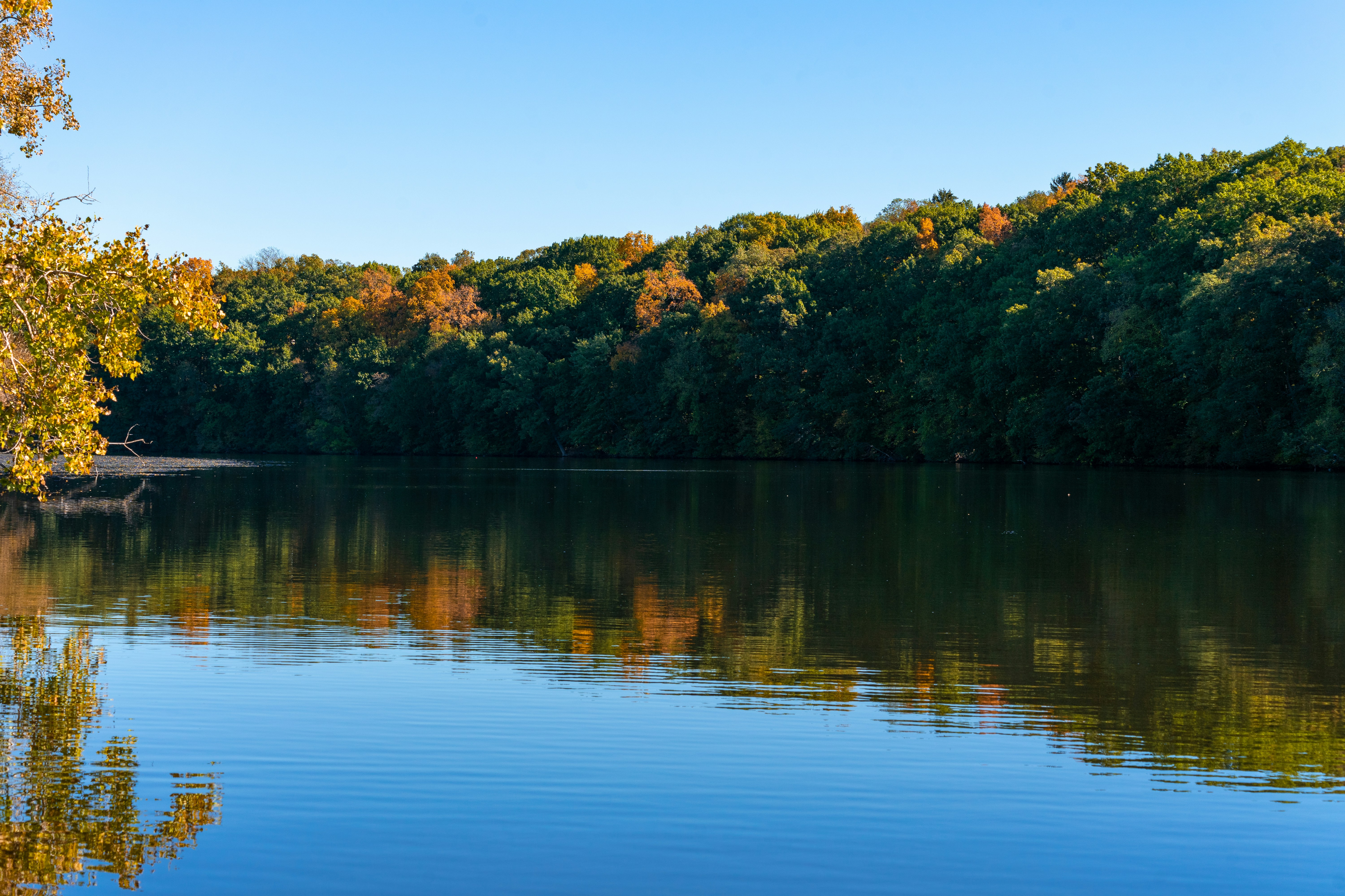 Publications Update # 9