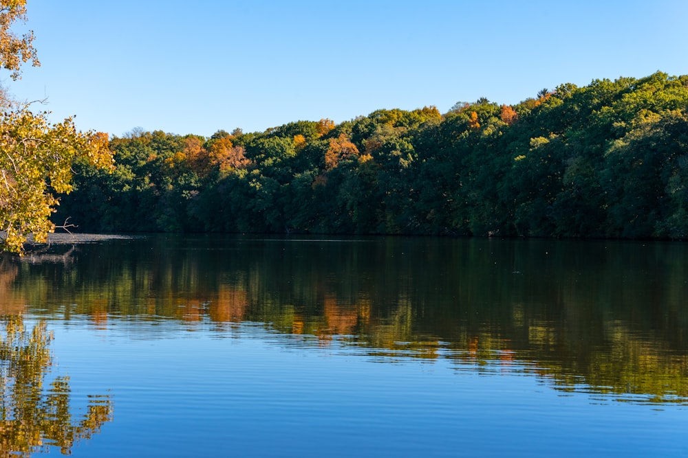 a large body of water surrounded by trees