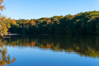 ann arbor ad agency helping local businesses grow with digital marketing