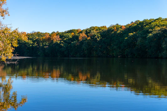 ann arbor ad agency helping local businesses grow with digital marketing