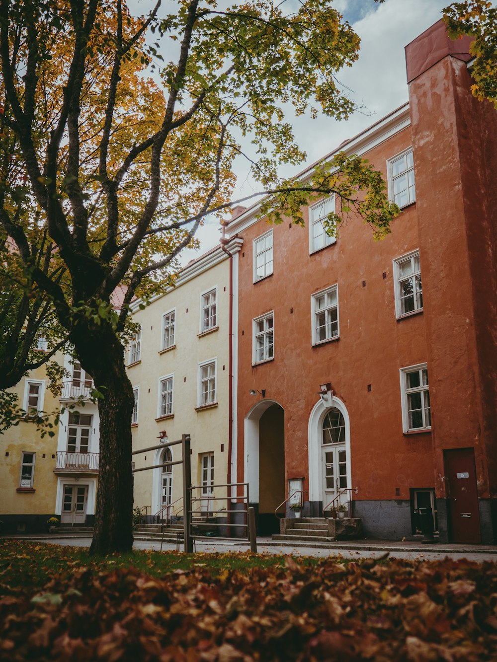 a red brick building with a tree in front of it