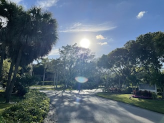 A sunny Florida landscape representing business opportunities.