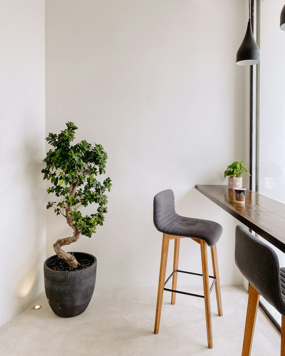 a bonsai tree in a pot next to a bar stool