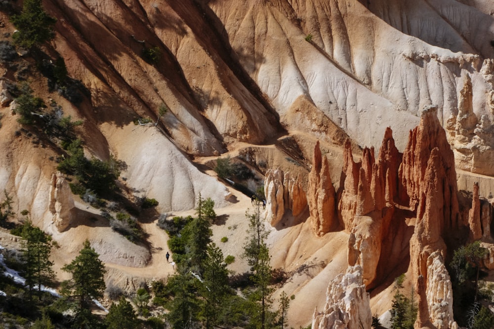 a group of trees in front of a mountain