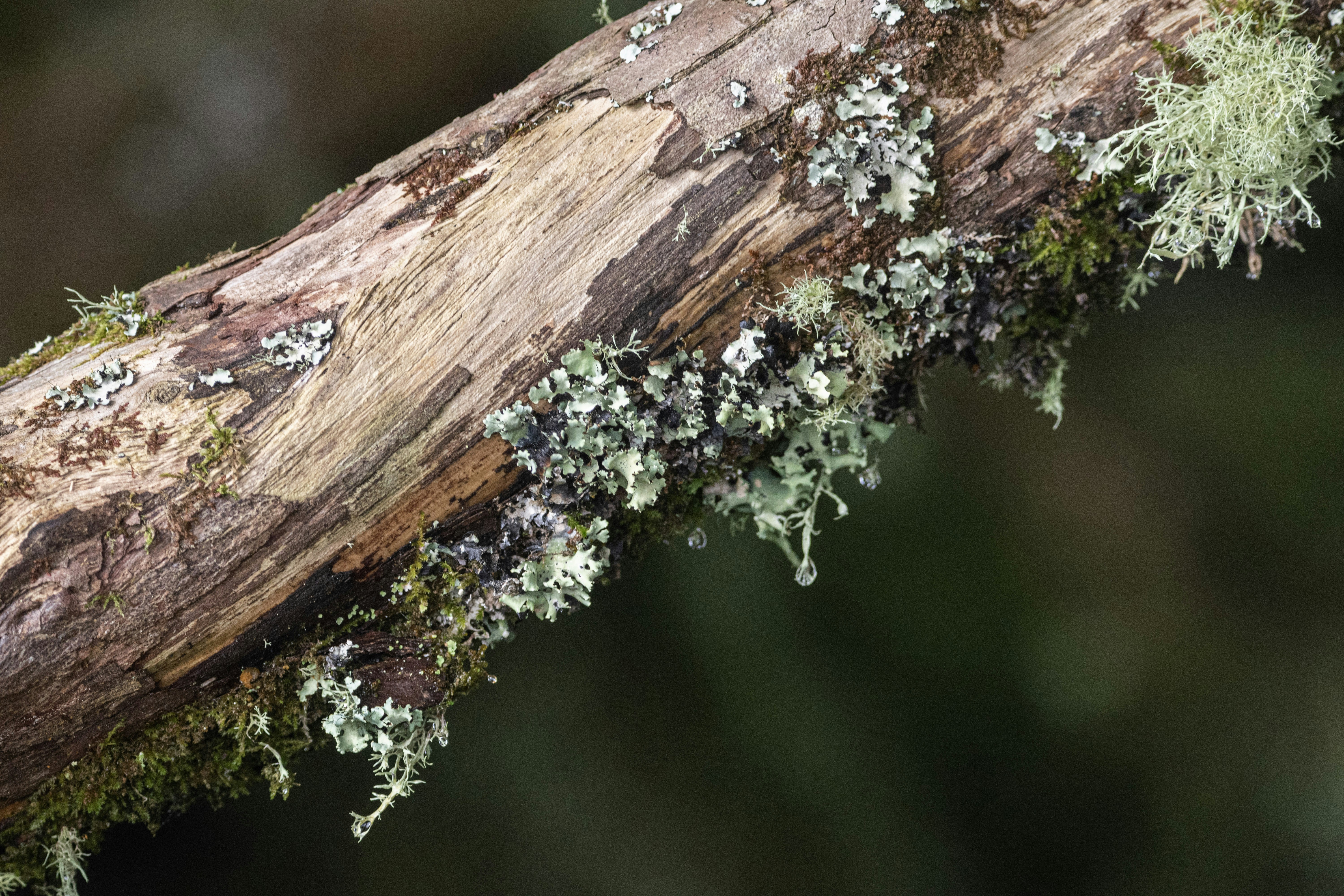 Photo by elisastonephotography