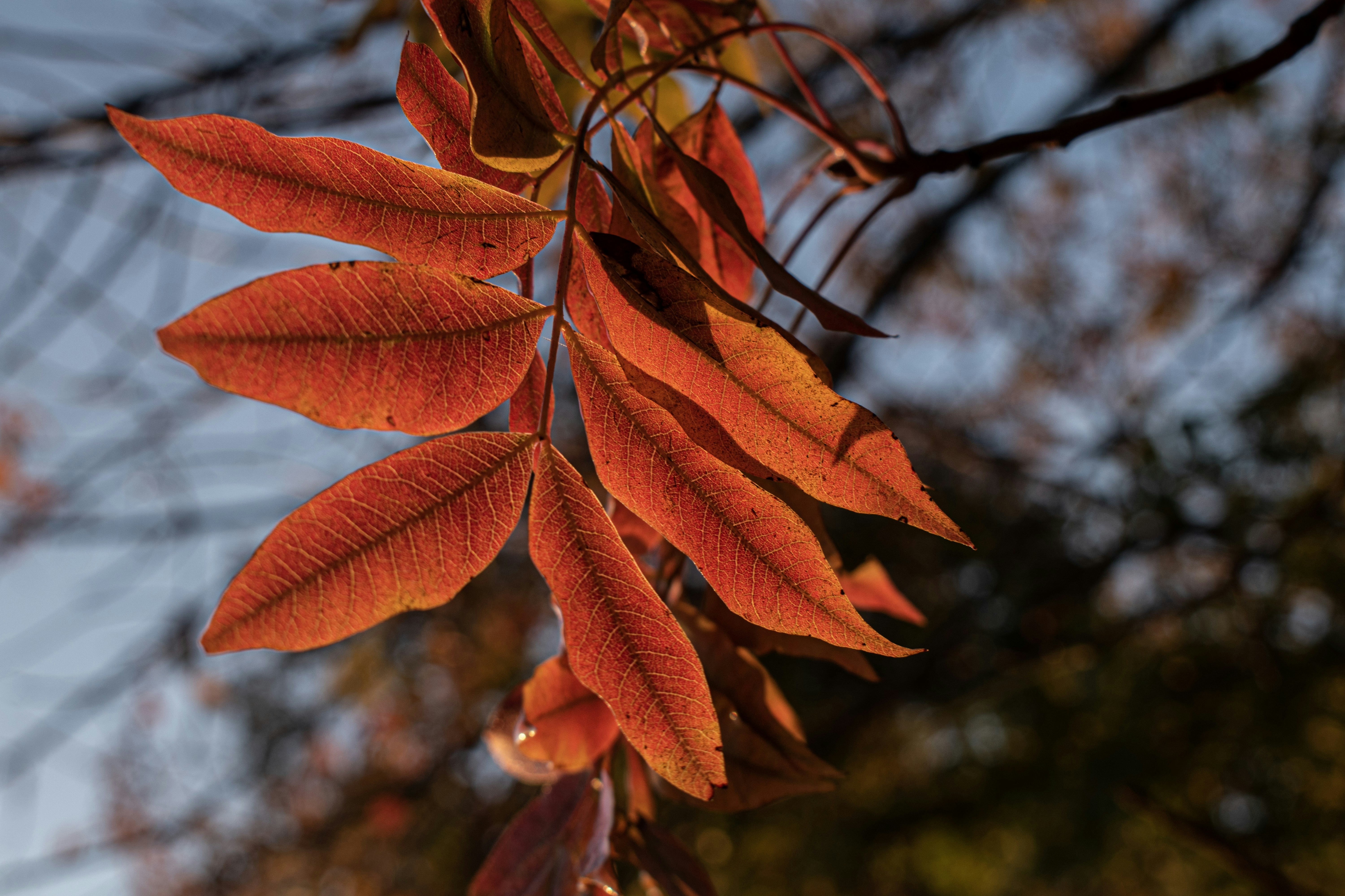 Photo by elisastonephotography