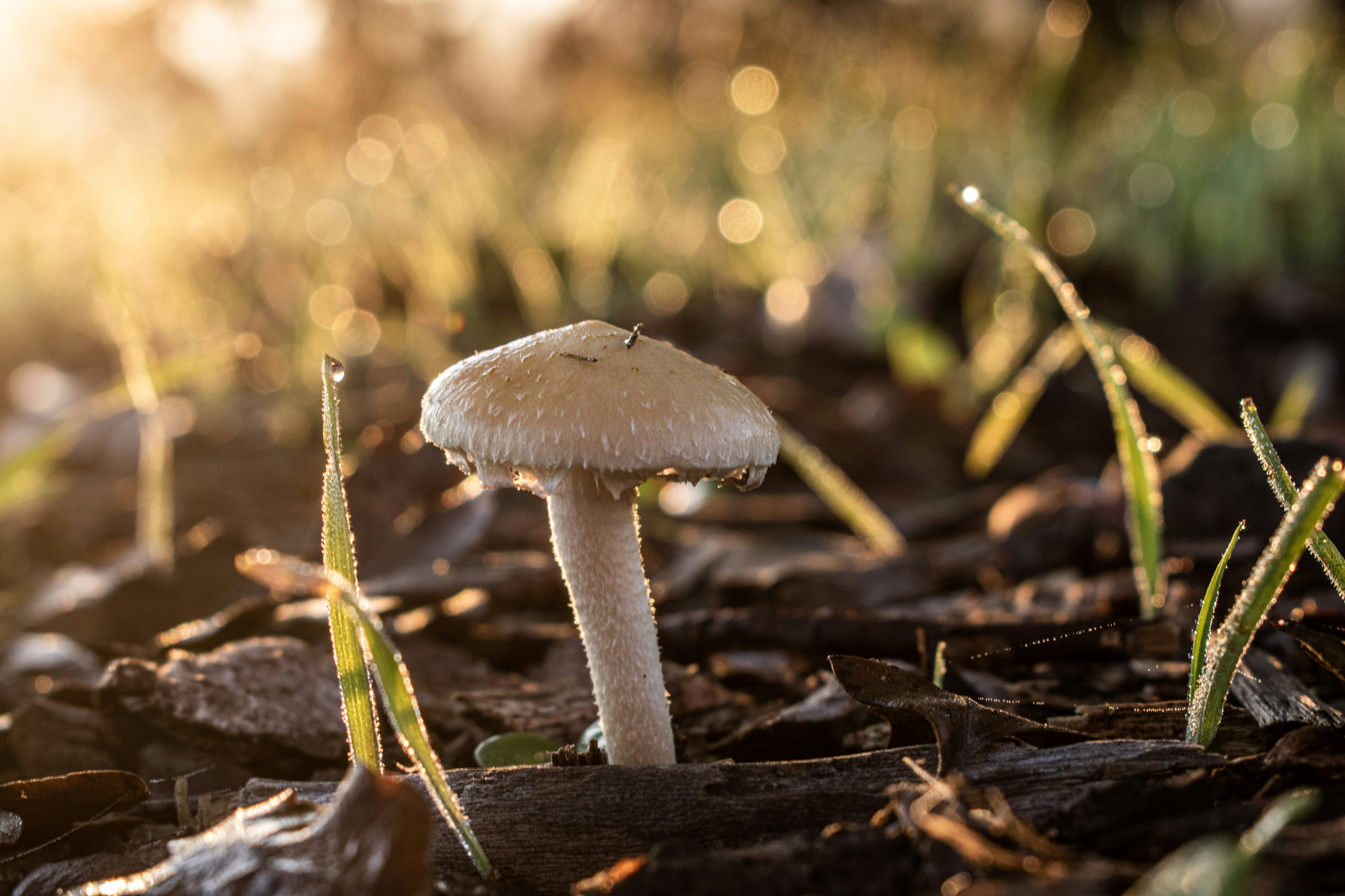 Photo by elisastonephotography