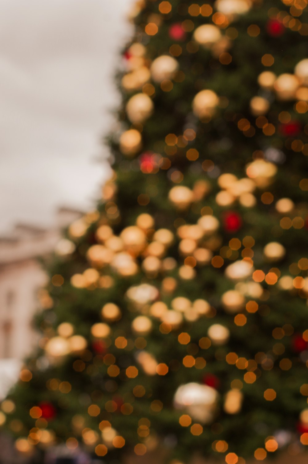 Un primo piano di un albero di Natale con le luci sullo sfondo