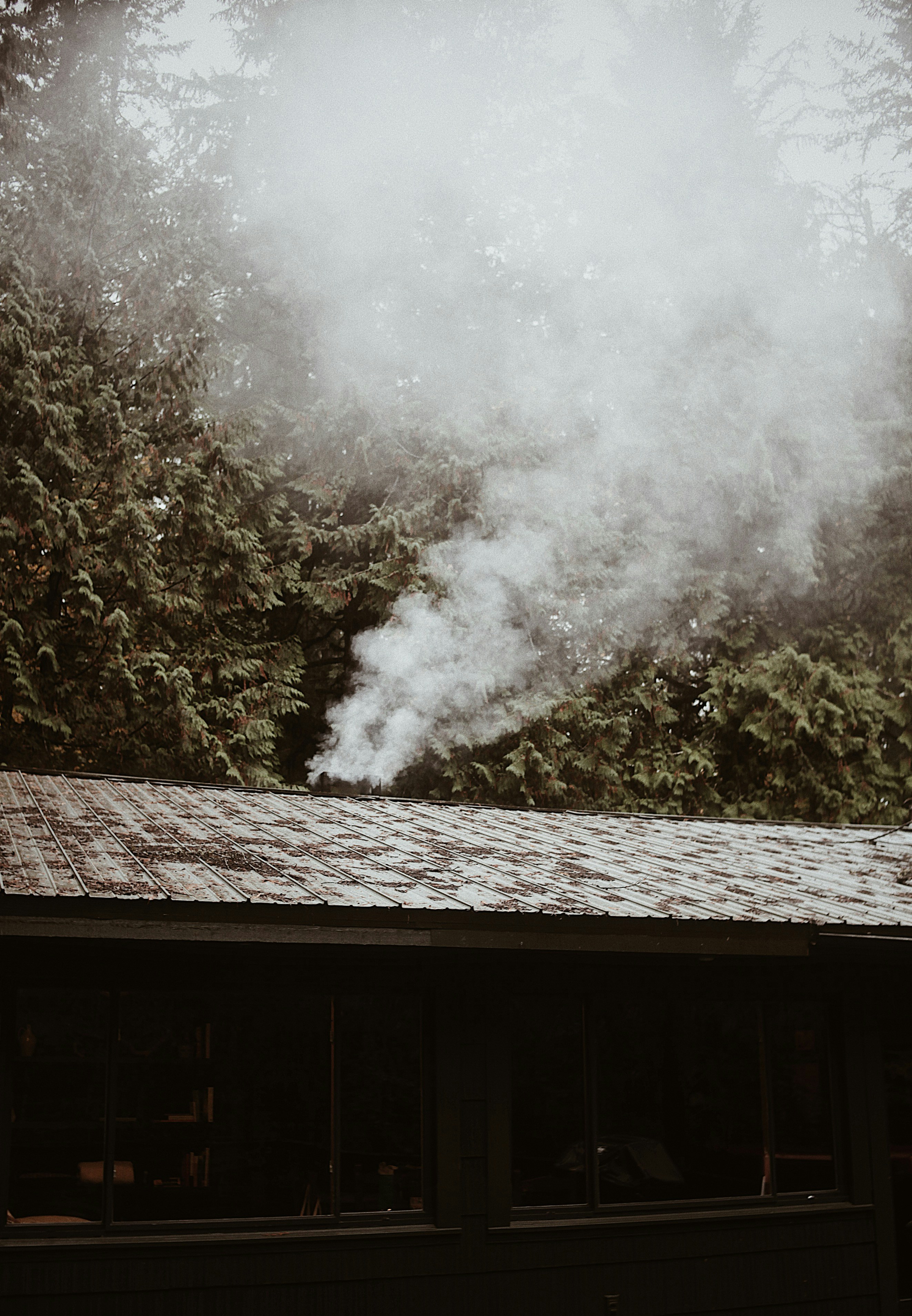 Photo by earthtokarly