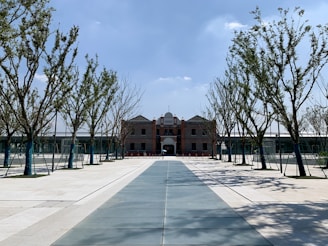 Wide paved road lined with trees and streetlights inside the campus.