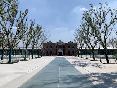 Wide paved road lined with trees and streetlights inside the campus.