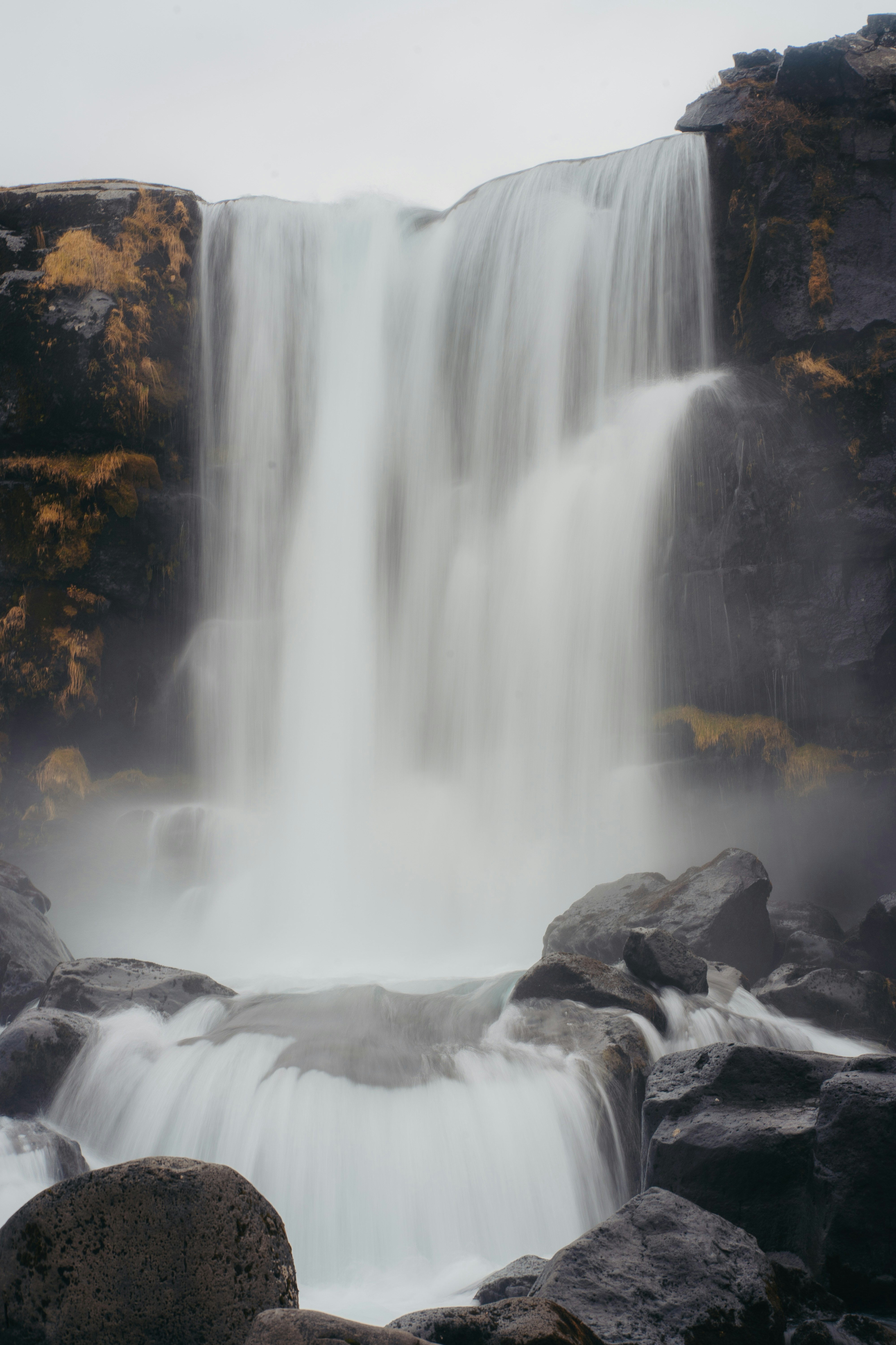 Photo by real_jansen