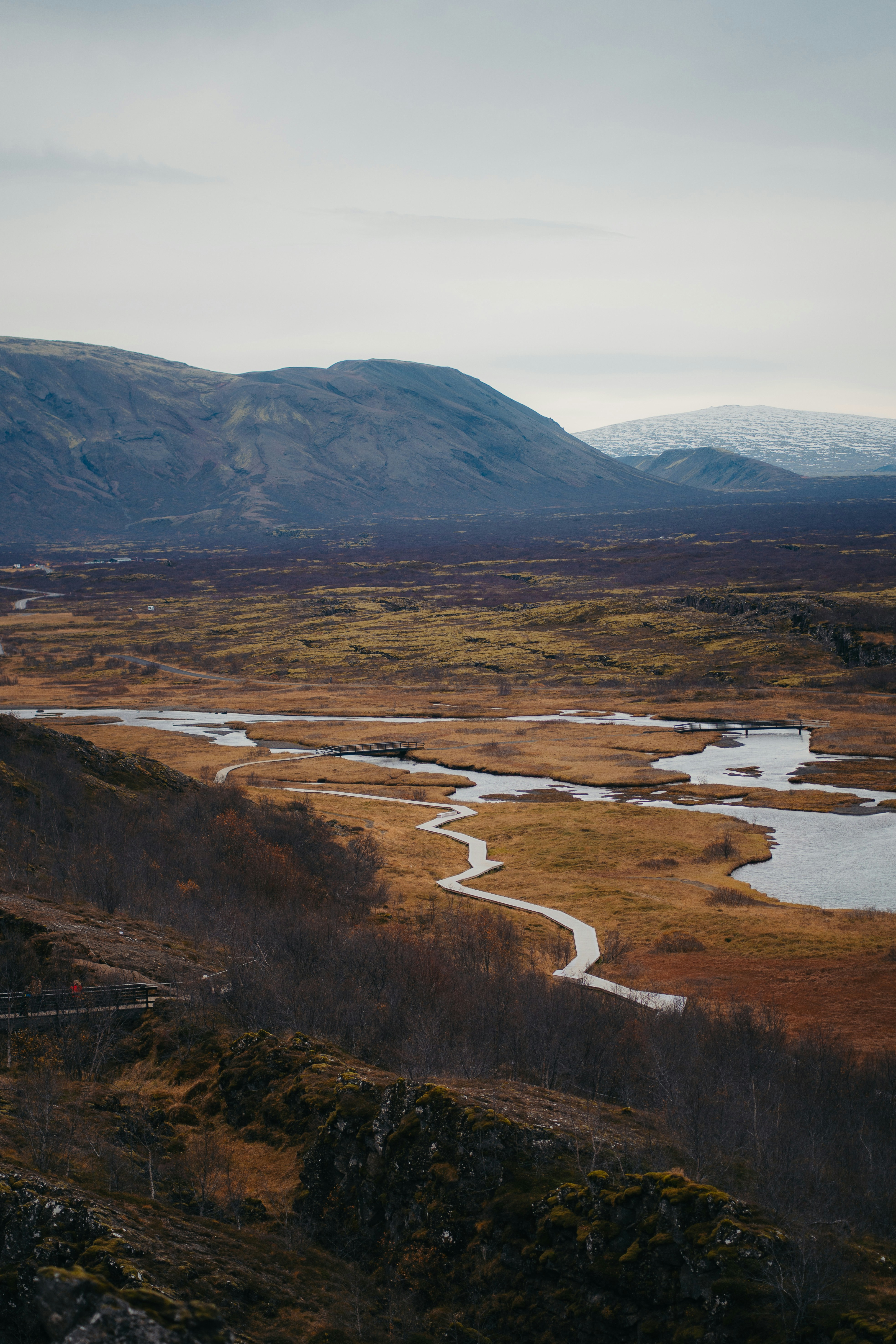 Photo by real_jansen