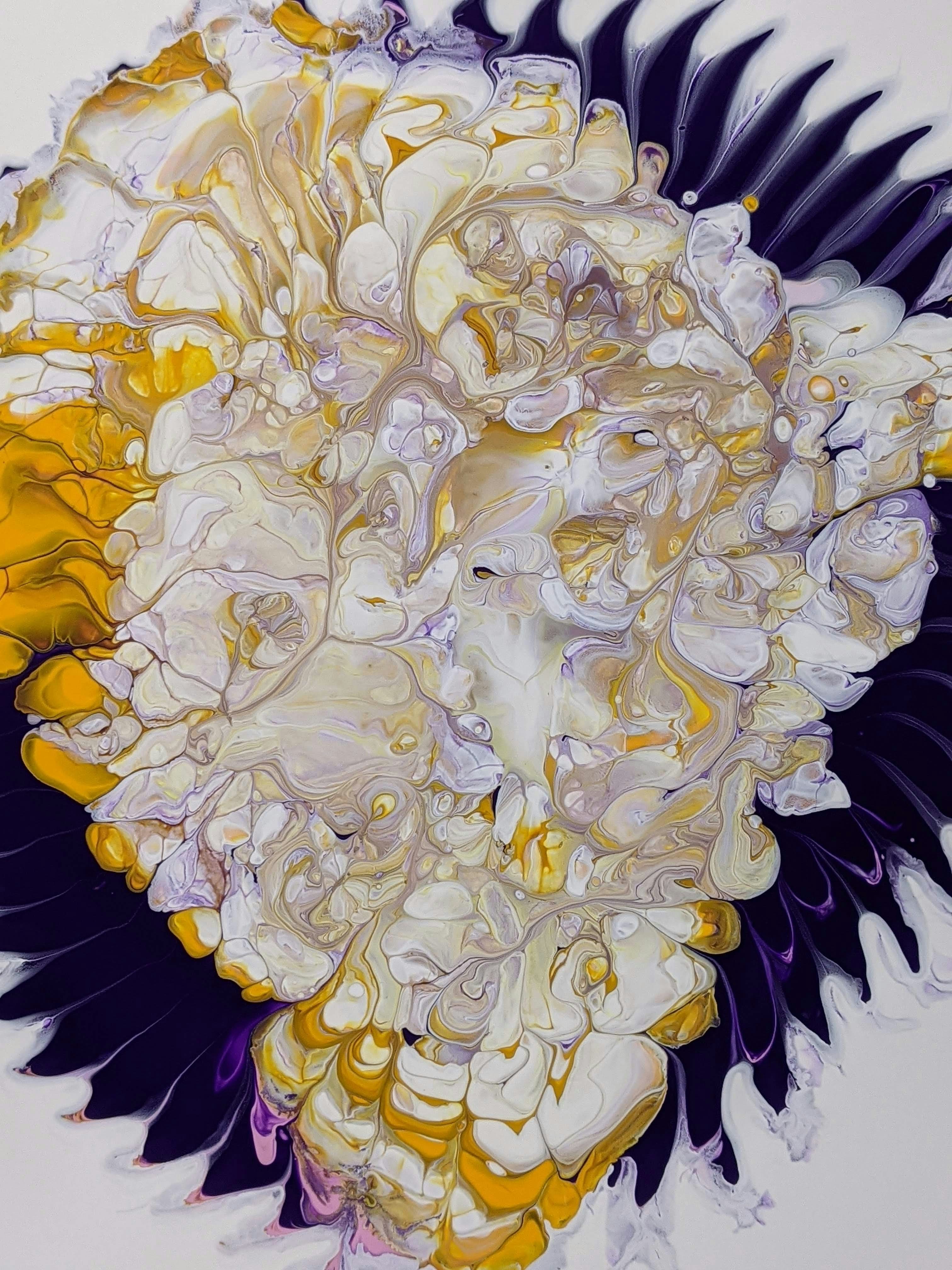 Photo by susan_wilkinson