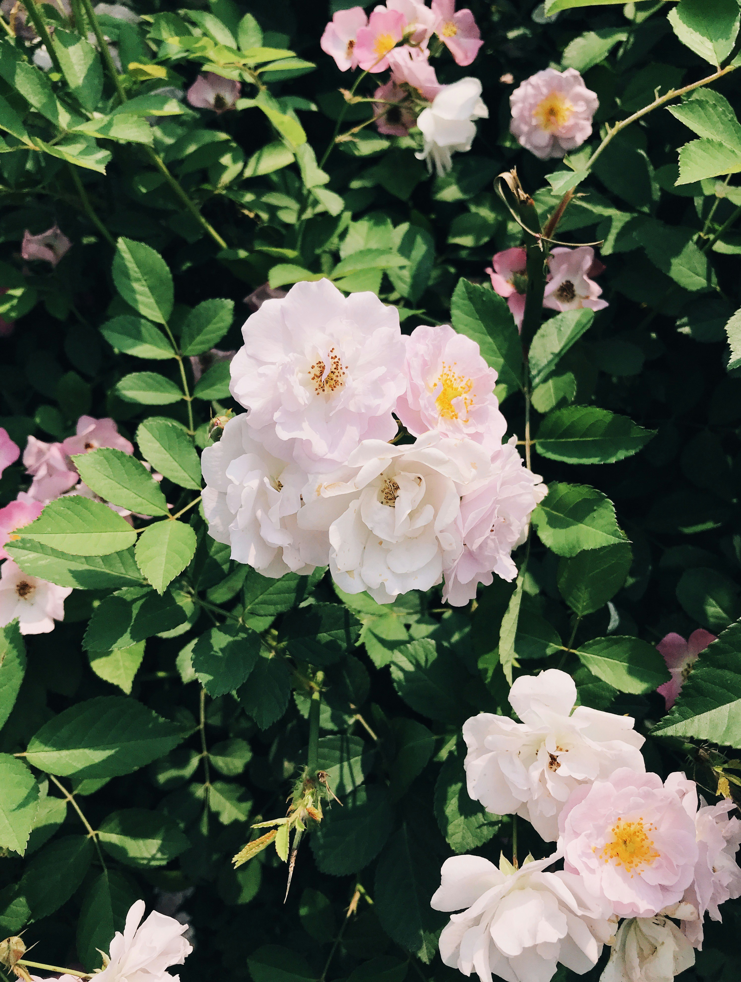 Photo by prprprprprpr