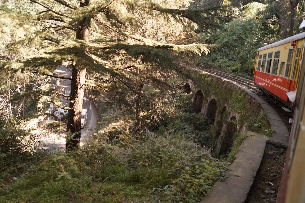 a red and yellow train traveling through a forest