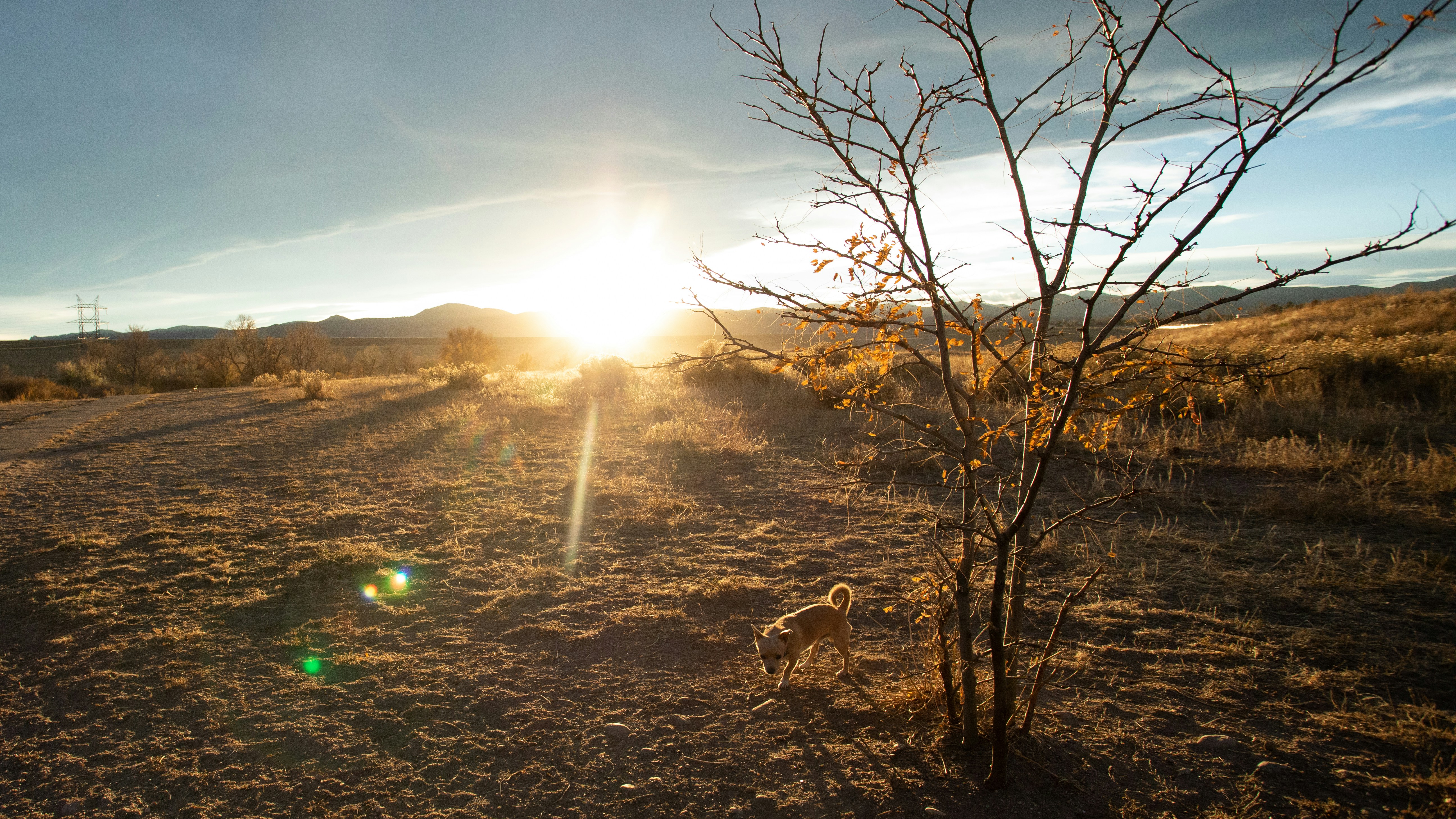 Photo by photosoflogan