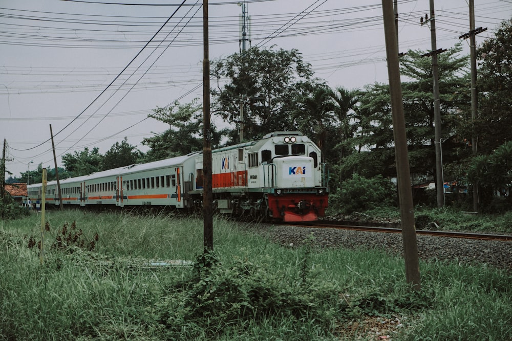 a train traveling through a lush green countryside