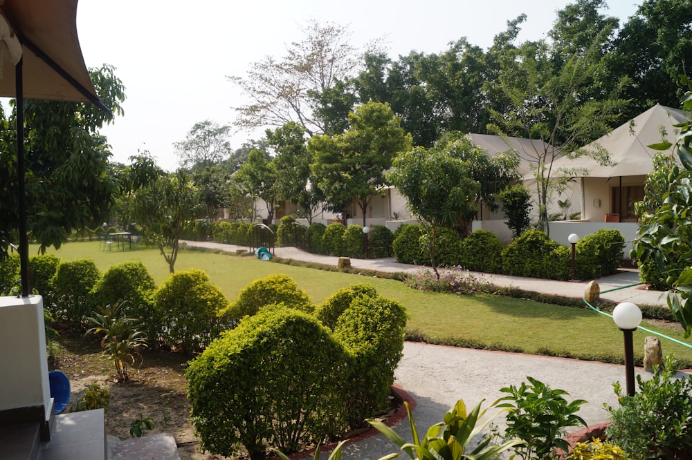 a lush green yard with trees and bushes