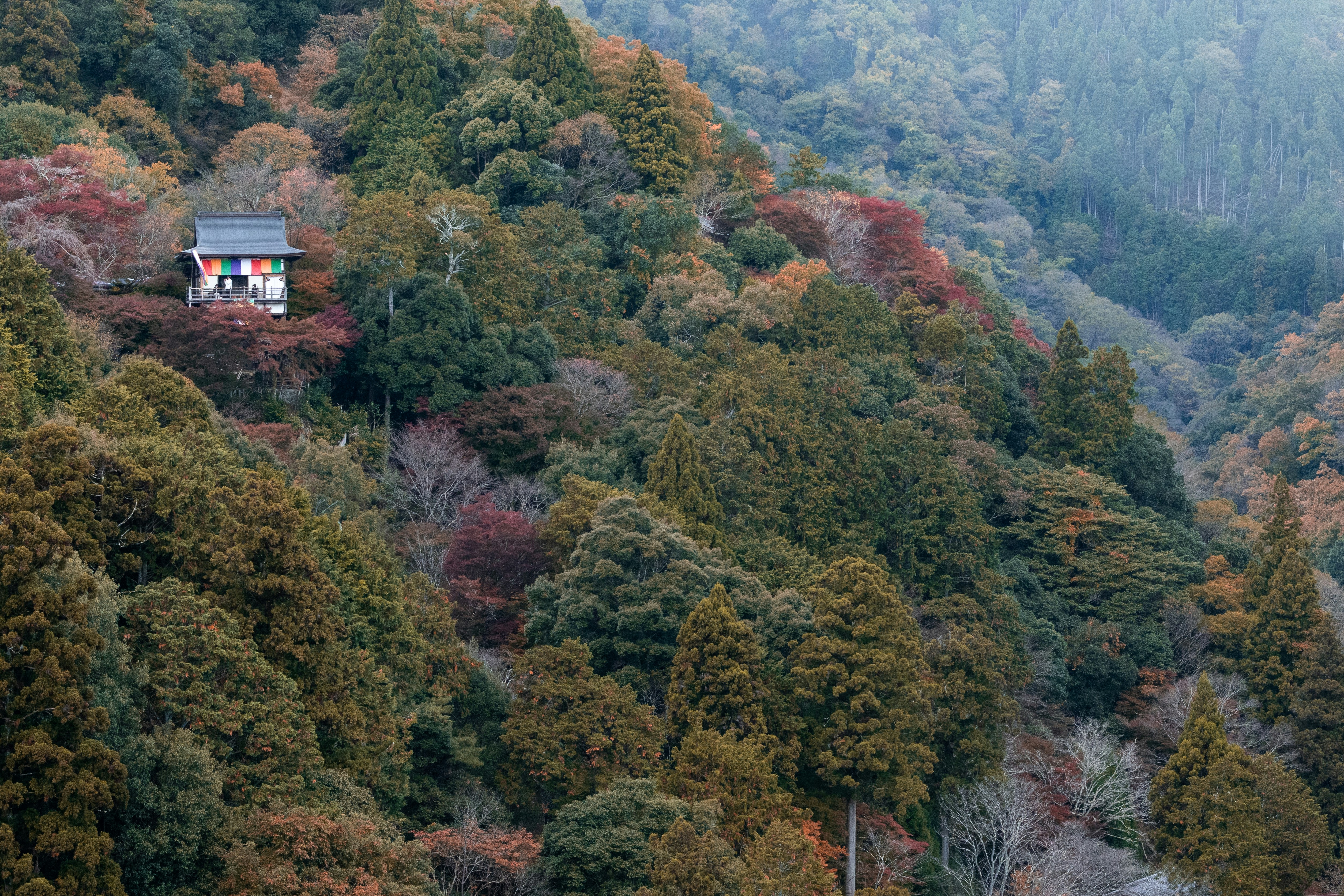 Mountain guesthouse in rural Japan