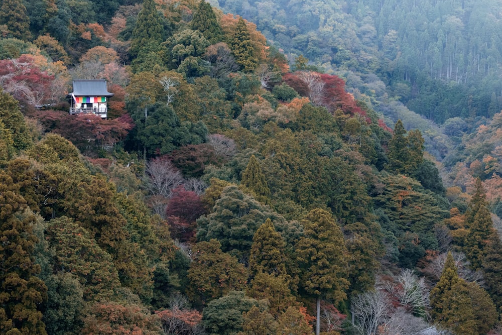 a house in the middle of a mountain surrounded by trees