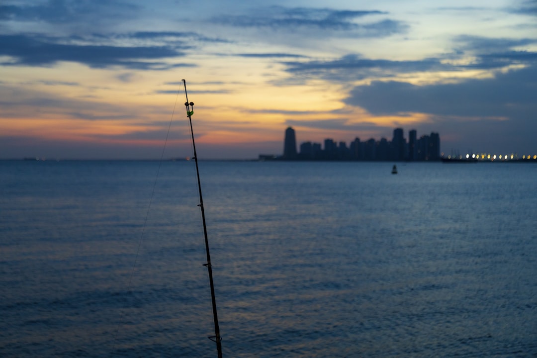 a fishing rod on the edge of a body of water with a city in the,