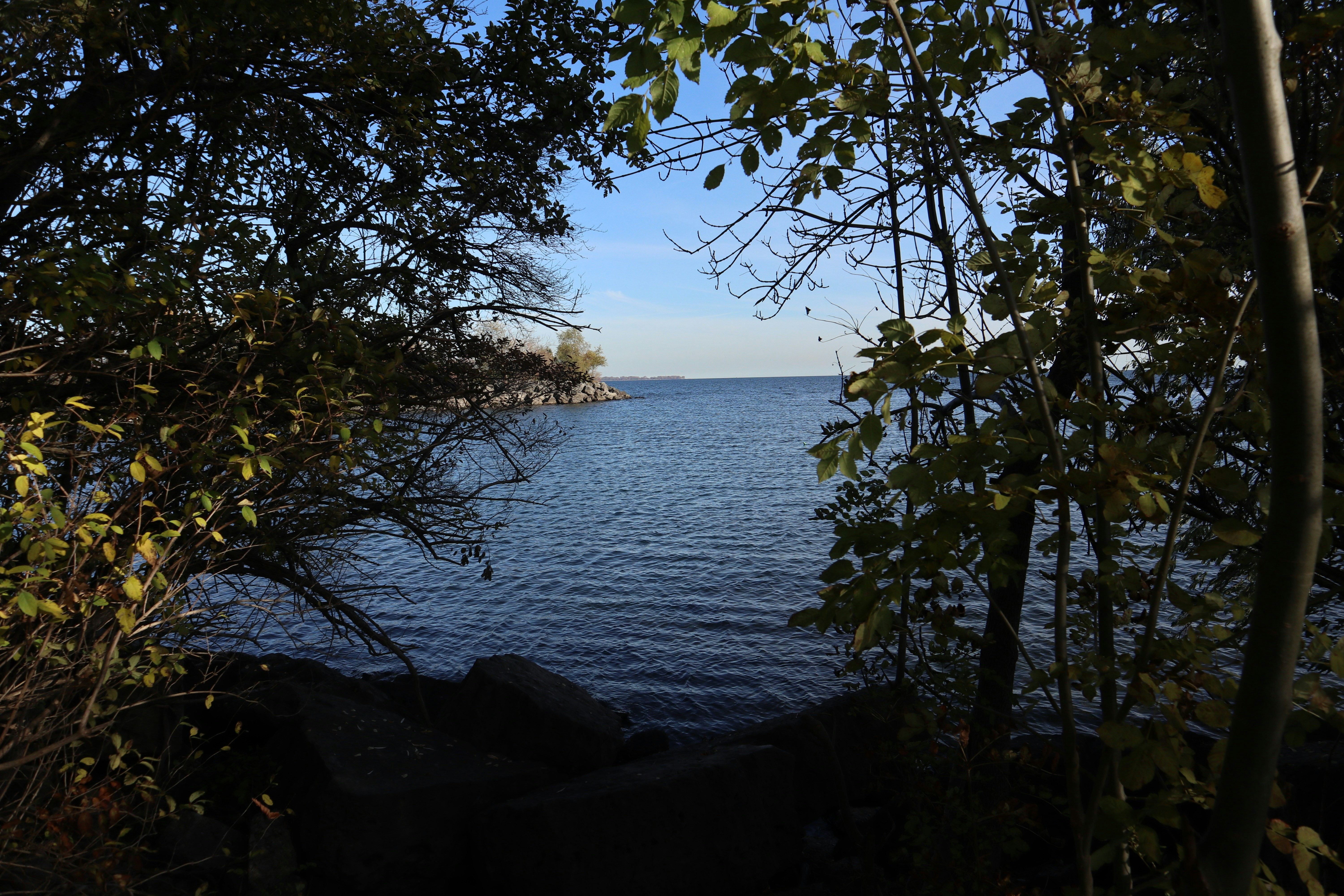 Photo by justin_ziadeh