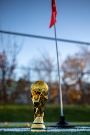 a soccer ball sitting on top of a field
