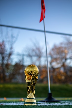 a soccer ball sitting on top of a field