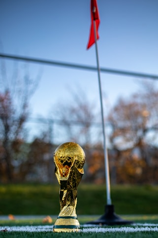a soccer ball sitting on top of a field