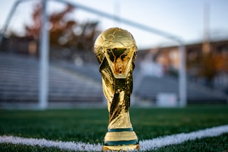 a golden trophy sitting on top of a soccer field