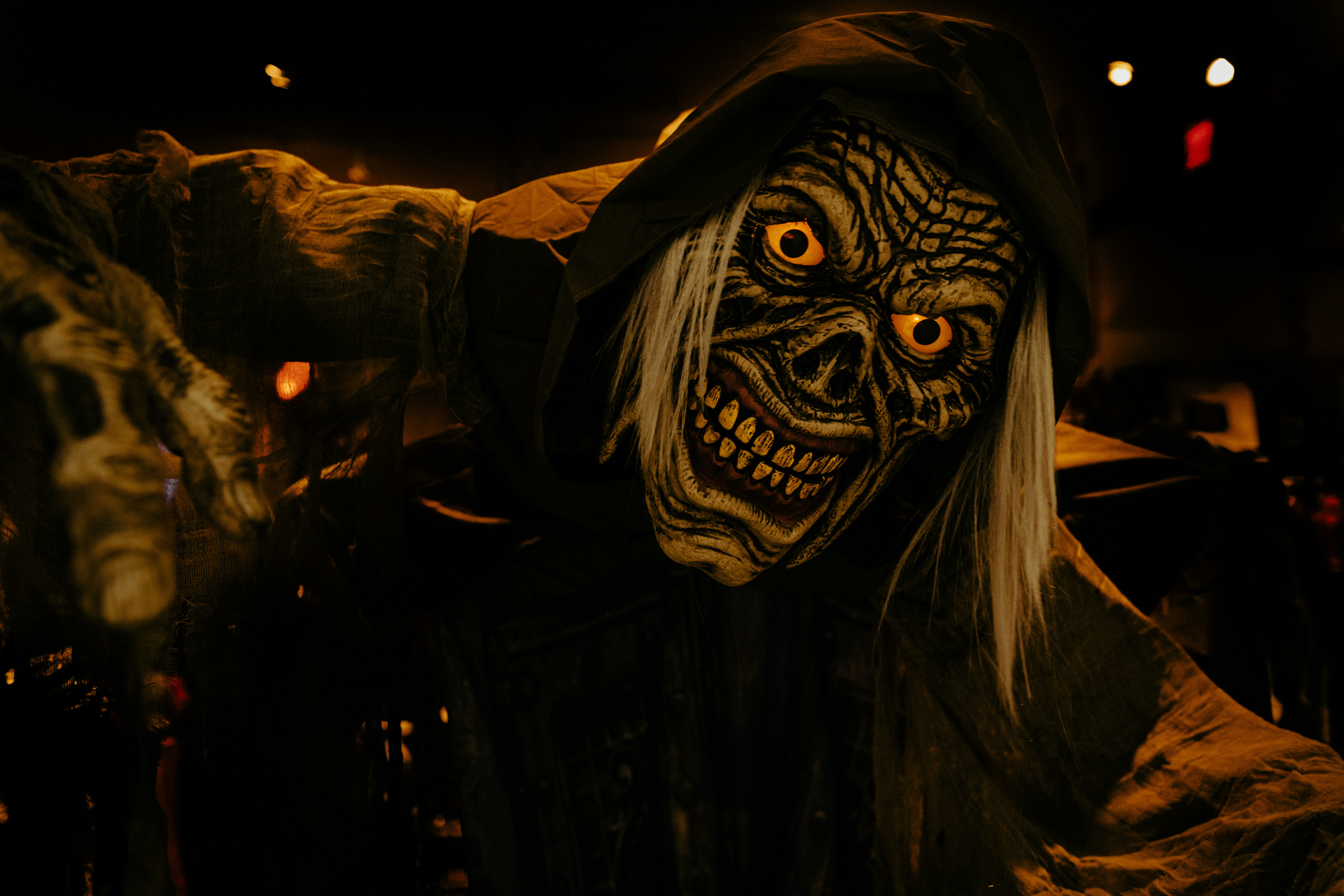 Photo by sriniunsplash