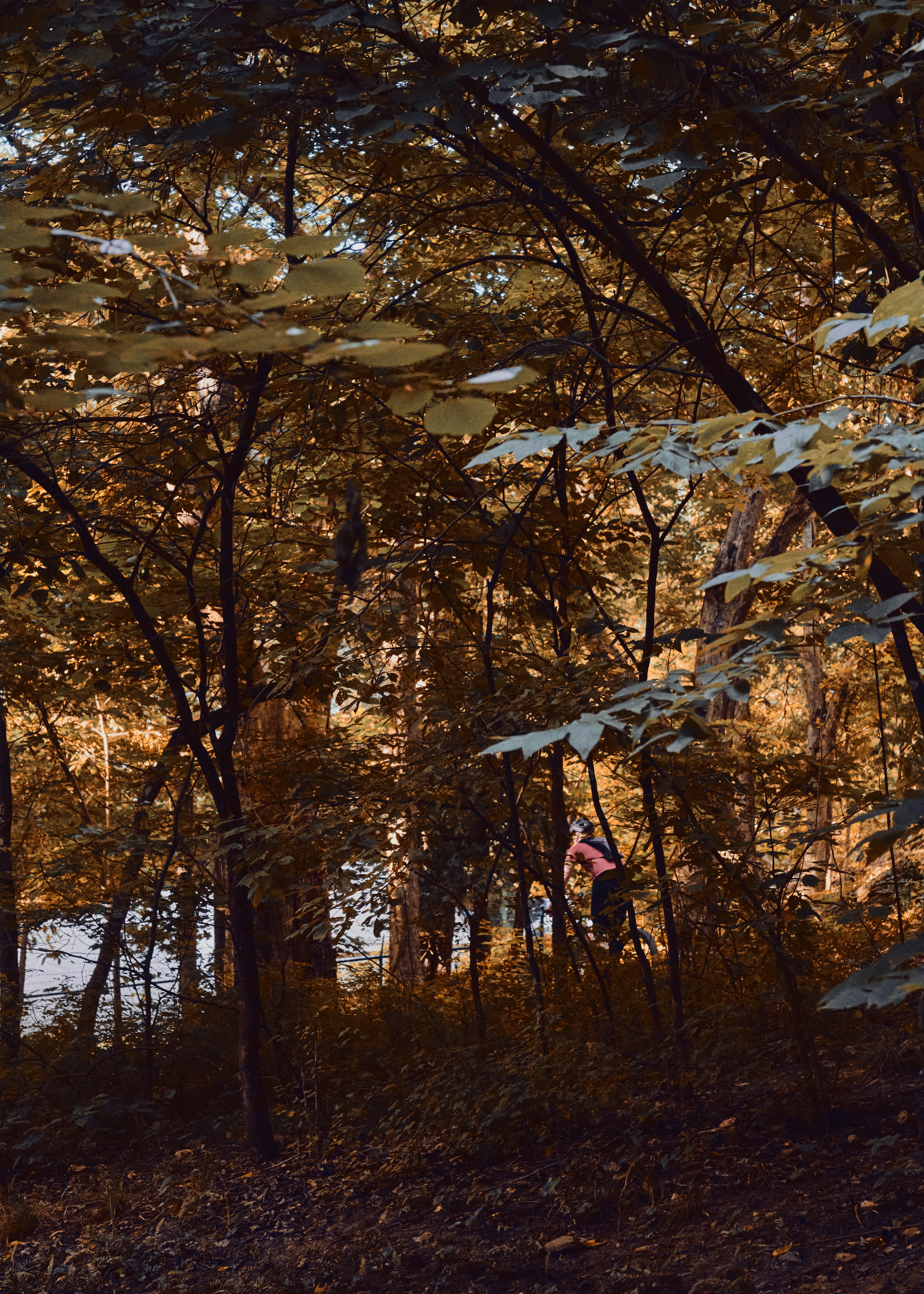 Photo by hillcountry_camera