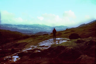 a person standing on top of a lush green hillside
