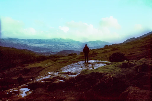a person standing on top of a lush green hillside