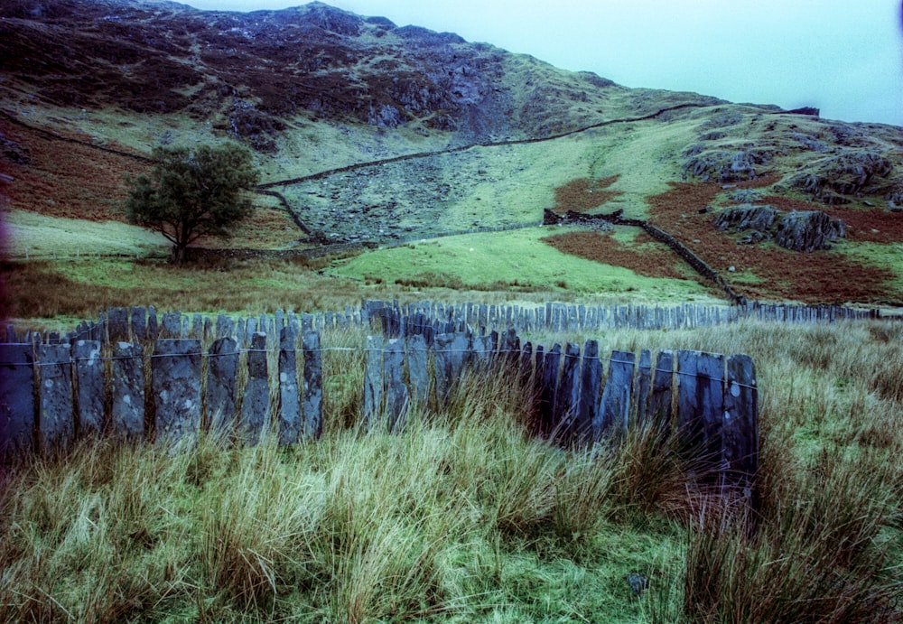 a grassy field with a fence and a mountain in the background