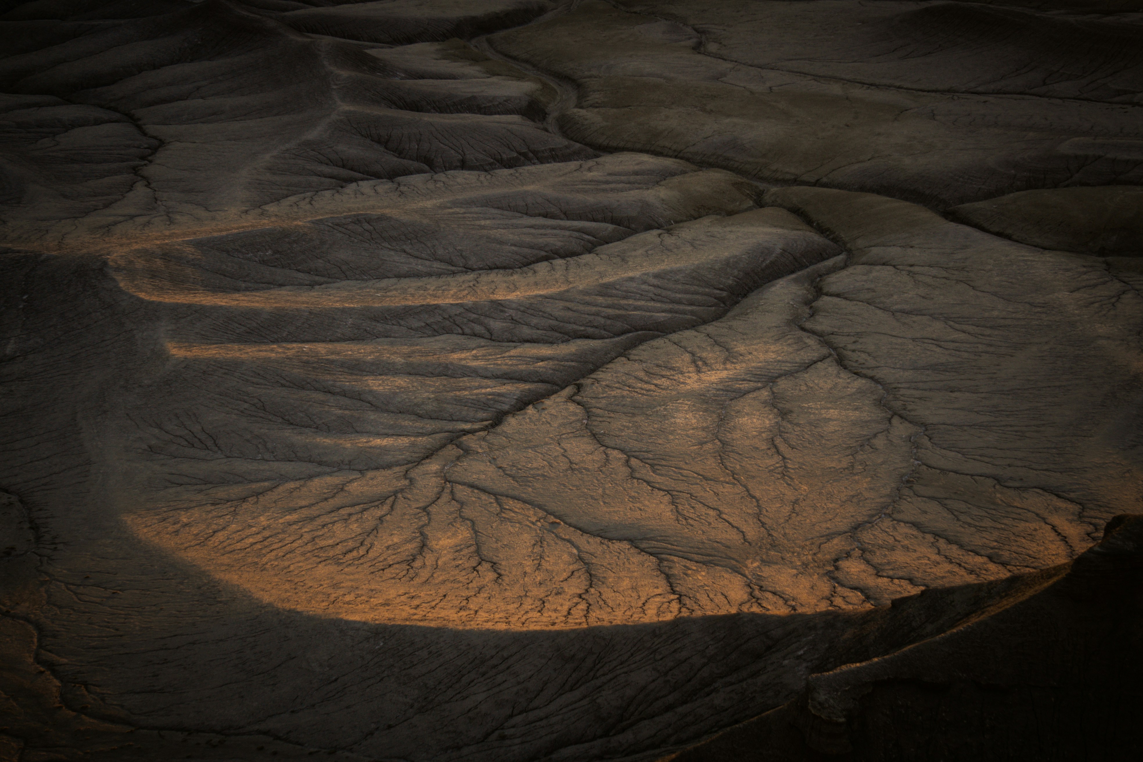 Photo by pics_by_harry