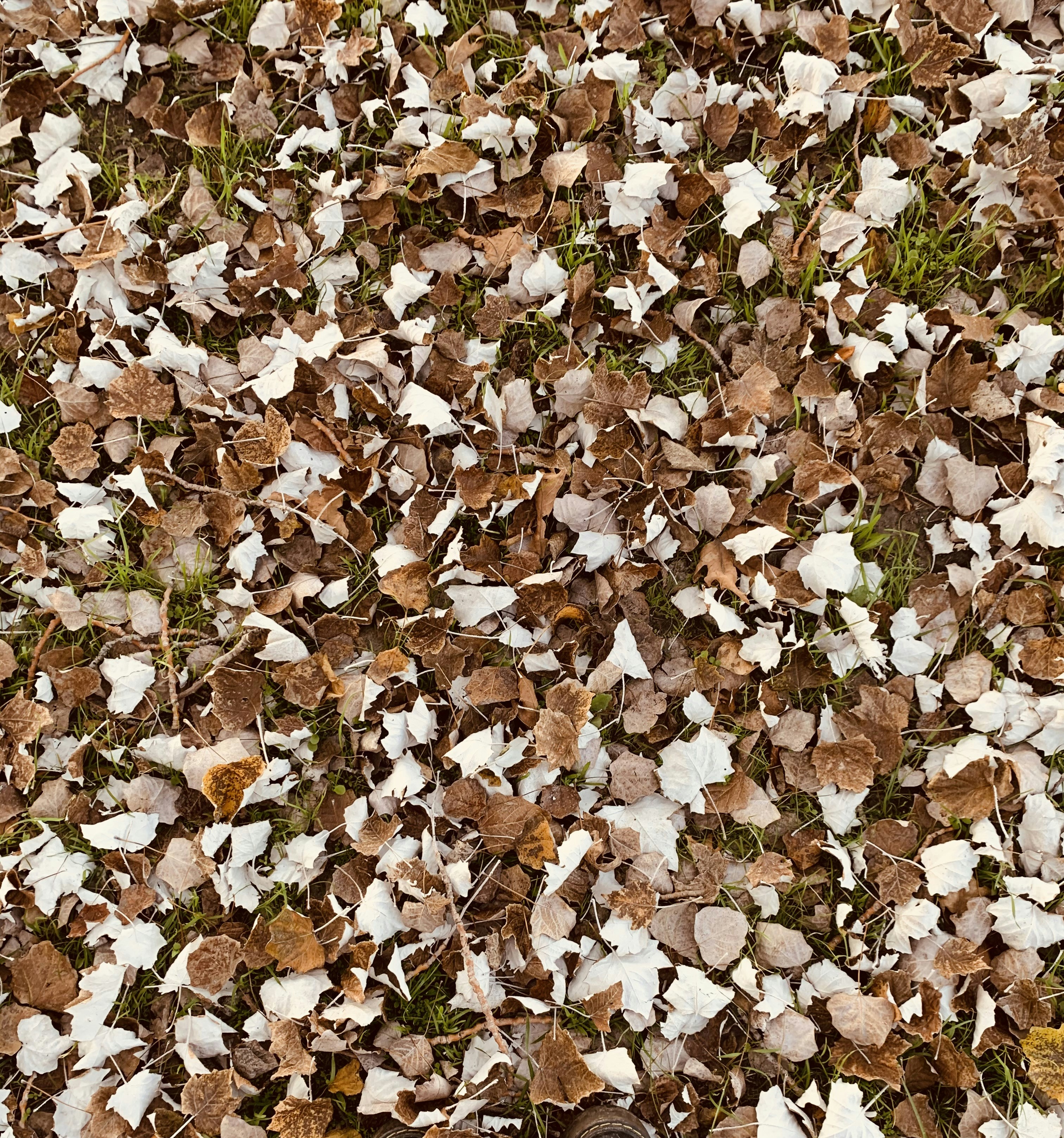 Photo by denizvatanbjork