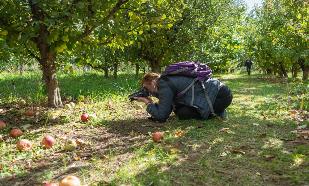 a woman picking apples off the ground in an apple orchard