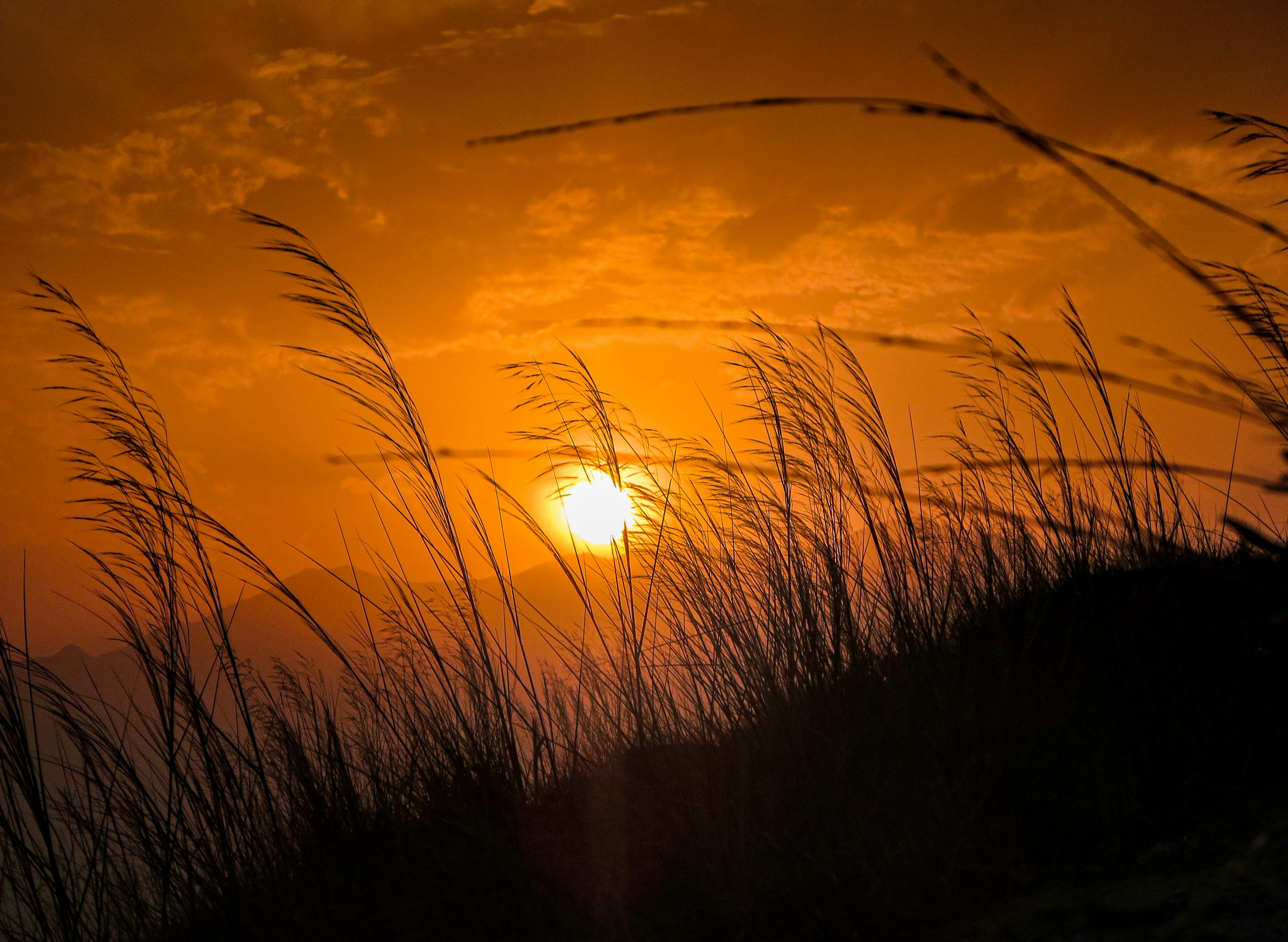 Photo by mohammadhu1