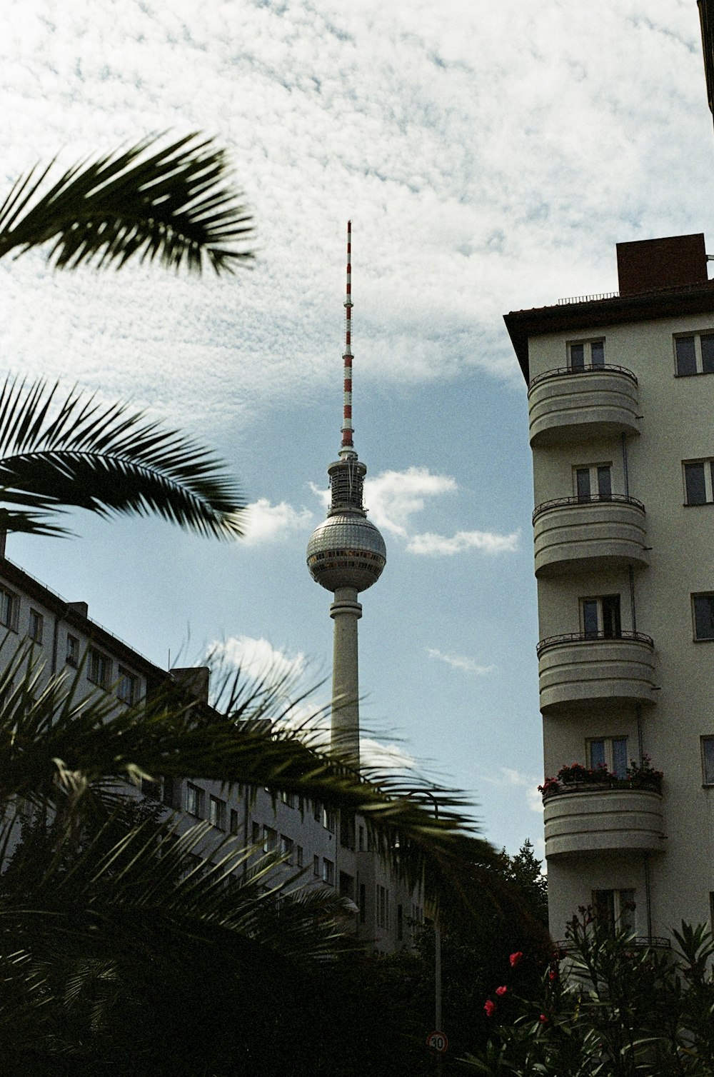 a clock tower next to a palm tree