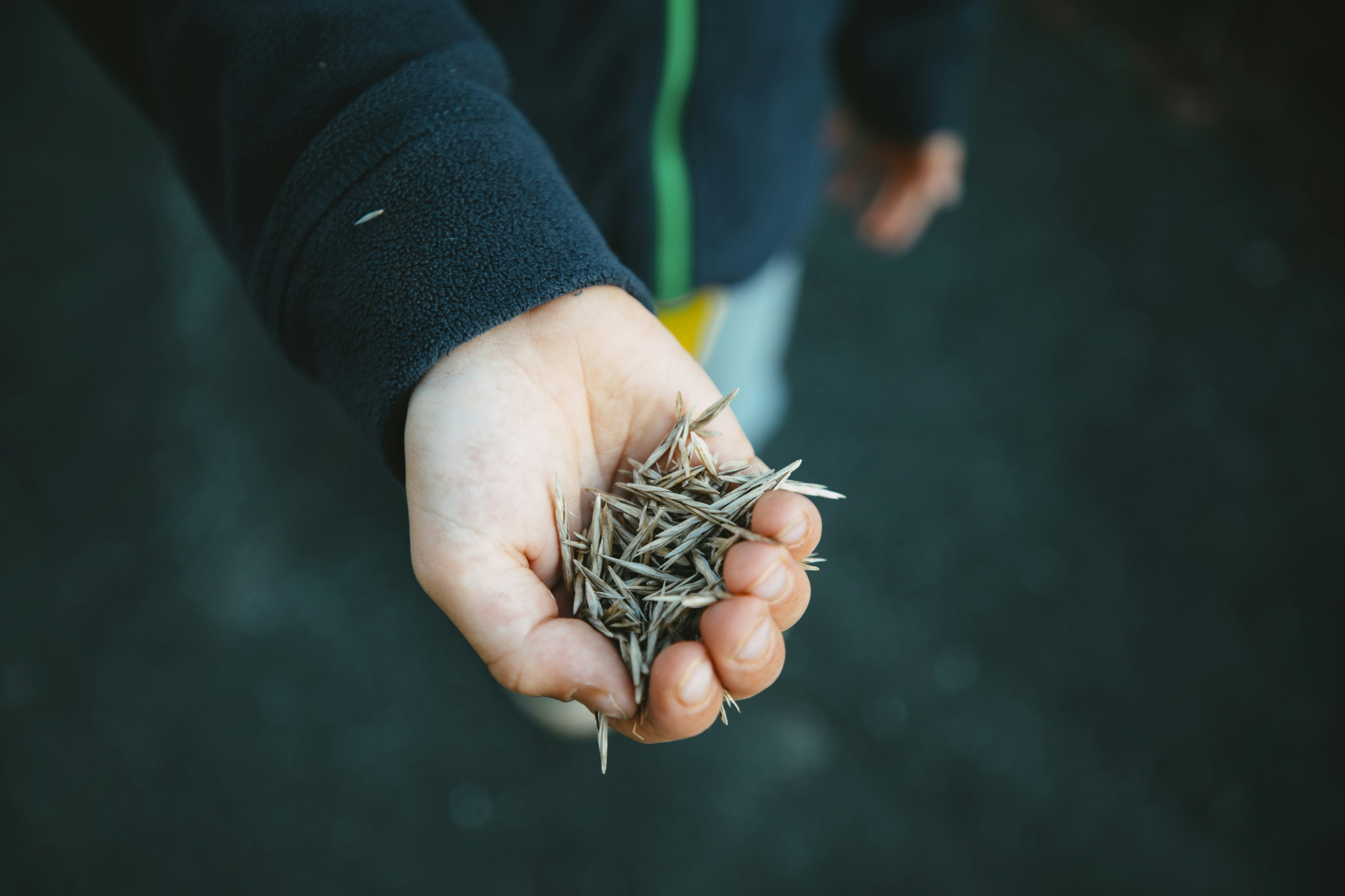 a hand holding a remote control