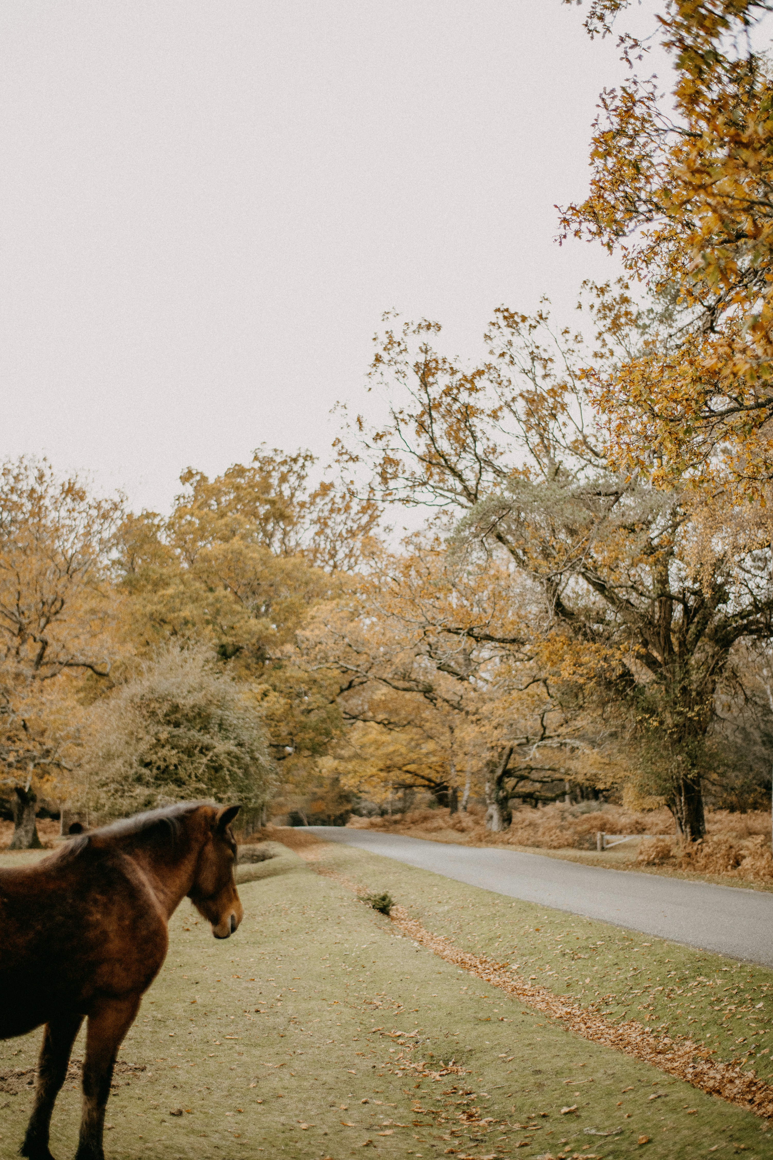 Photo by anniespratt