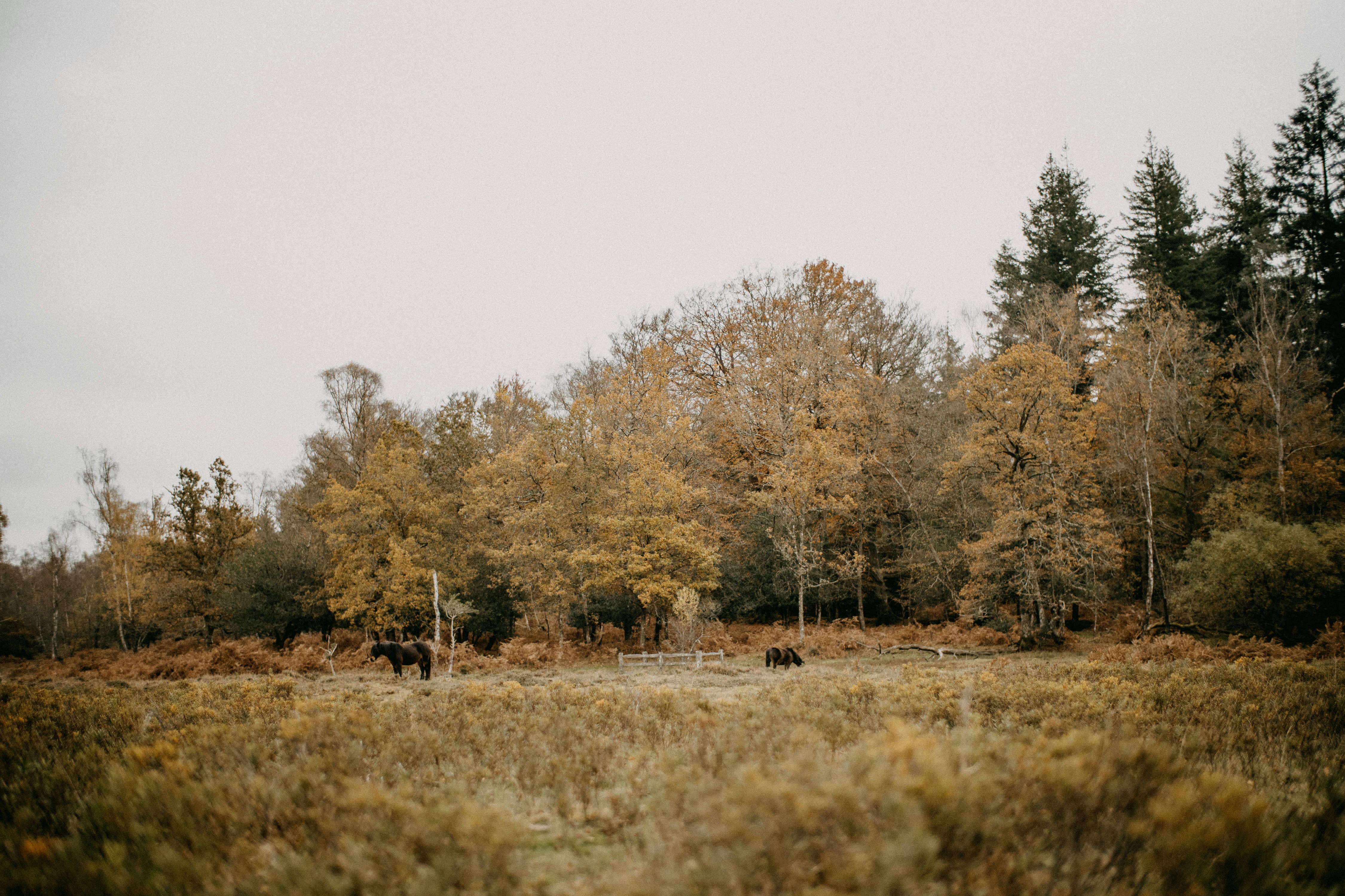 Photo by anniespratt