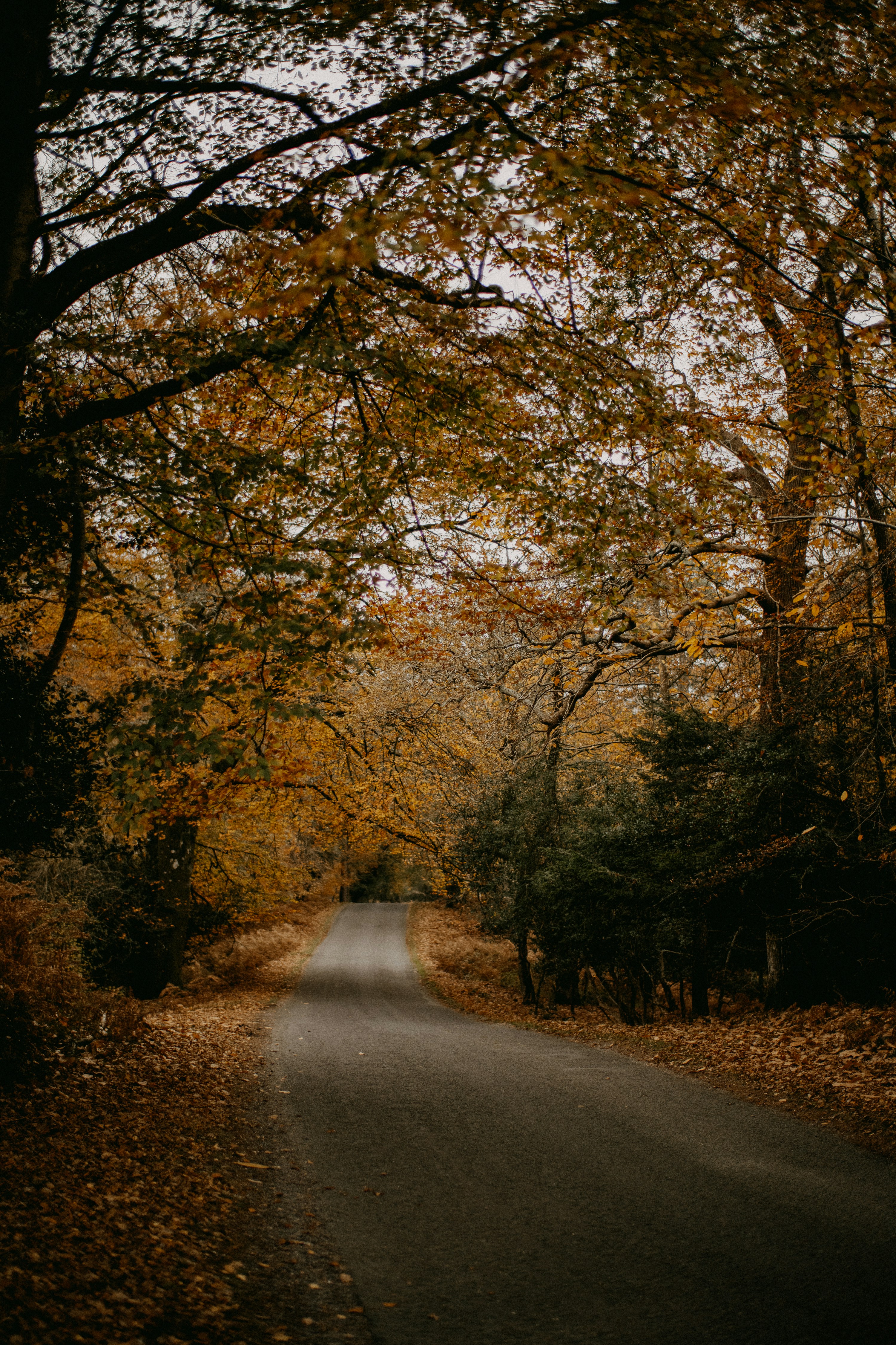 Photo by anniespratt